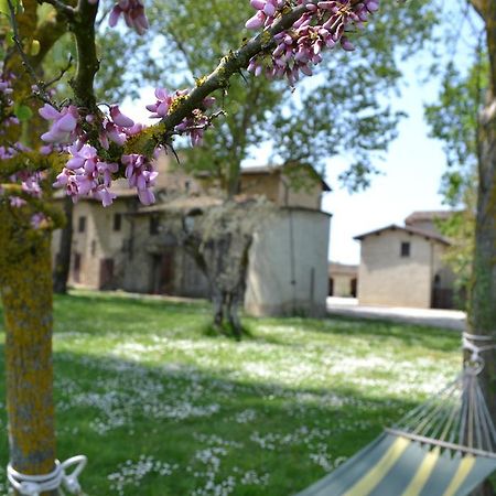 Agriturismo Nestore Екстер'єр фото