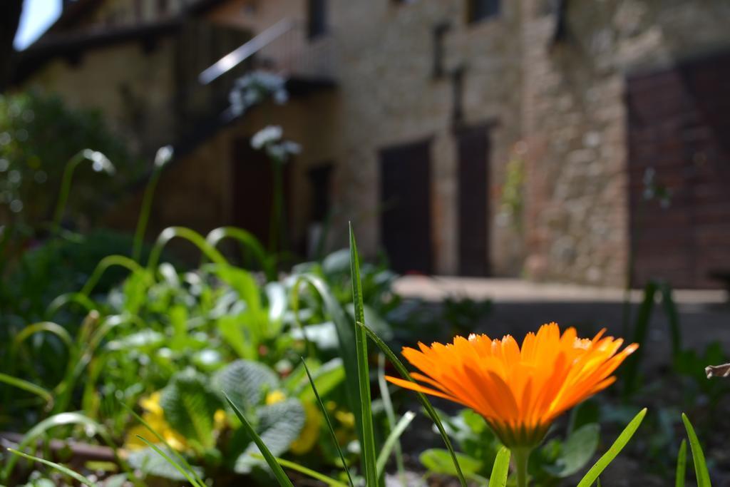 Agriturismo Nestore Екстер'єр фото