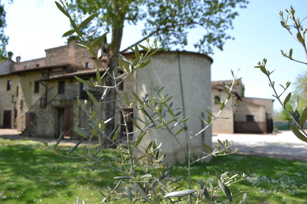 Agriturismo Nestore Екстер'єр фото