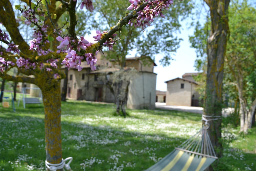Agriturismo Nestore Екстер'єр фото